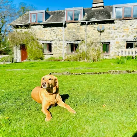 3 Bed In Hawkshead Oc-llh38 Dom wakacyjny High Wray